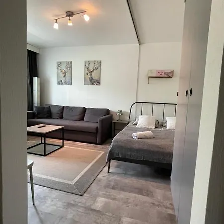Apartment The Flamingo - Flamingoyksio Turku