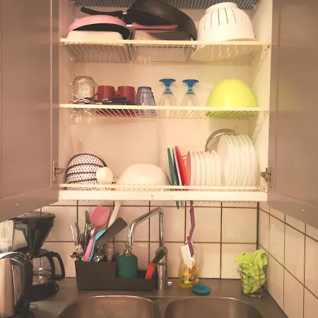 The Flamingo - Flamingoyksio *